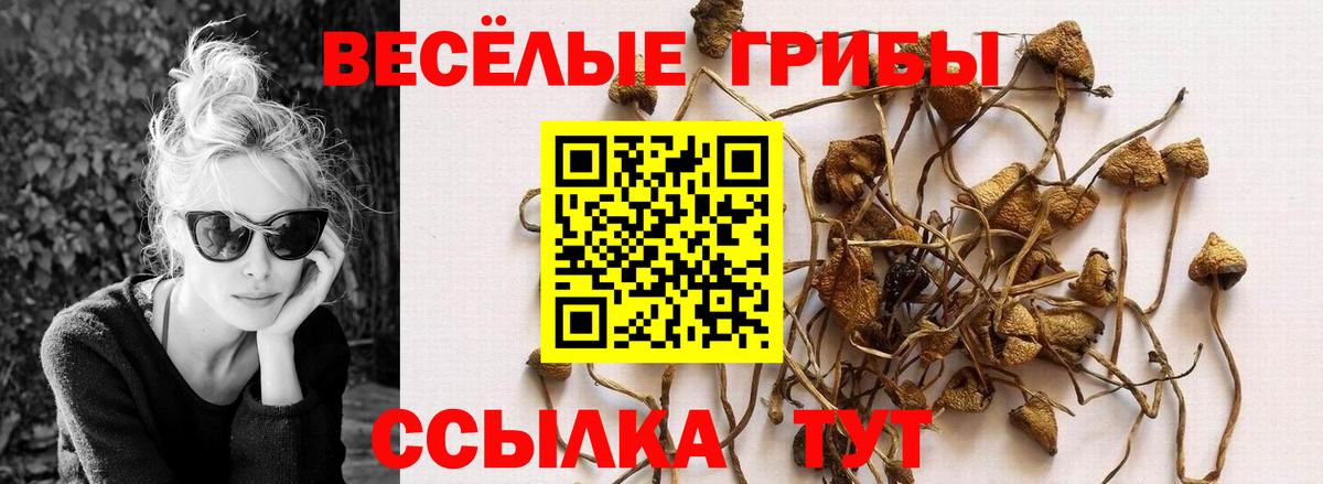Псилоцибиновые грибы Psilocybine cubensis Феодосия